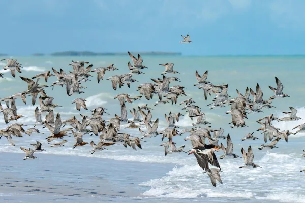 Broome — flights from €120