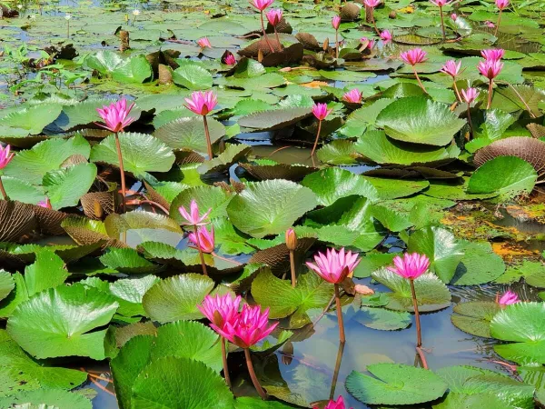 Buriram skyline — flights from Phuket from €70, cheapest in October