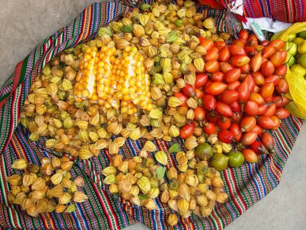 Cajamarca — flights from €47