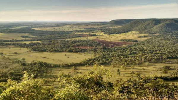 Campo Grande — flights from €71