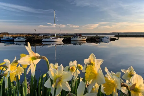 Charlestown — flights from €18