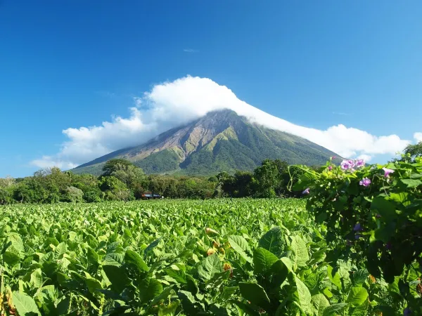 Concepcion — flights from €21