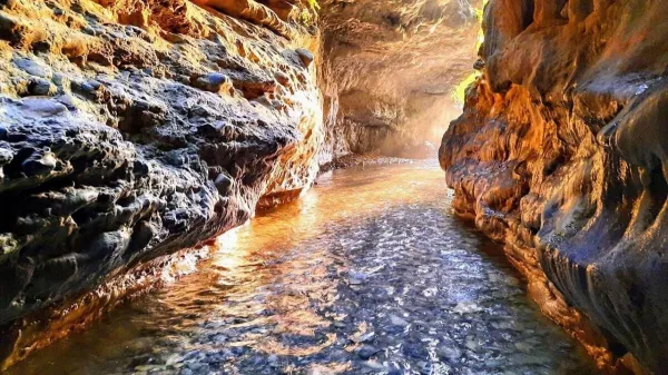 Dehradun — flights from €38