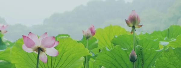 Hangzhou skyline — flights from Dushanbe from €261, cheapest in October