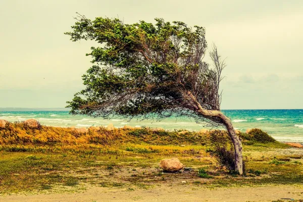 Larnaca — flights from €17