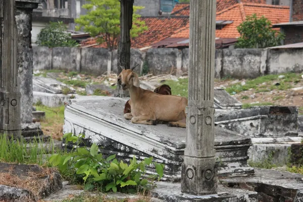 Surabaya — flights from €34