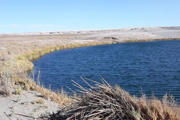 Calama
