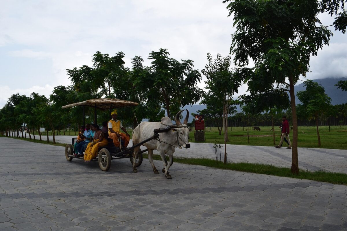 Coimbatore — India