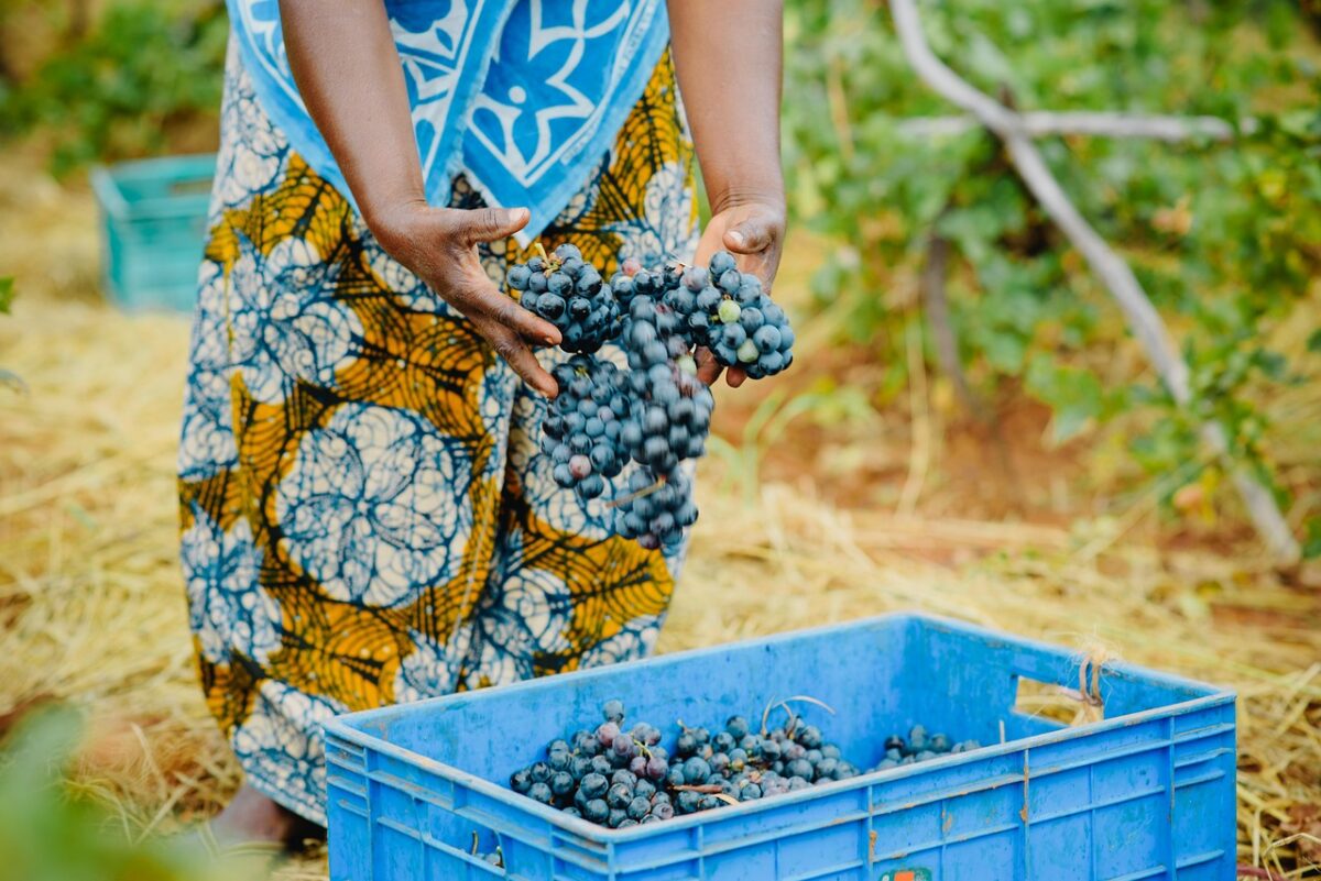 Dodoma — Tanzania