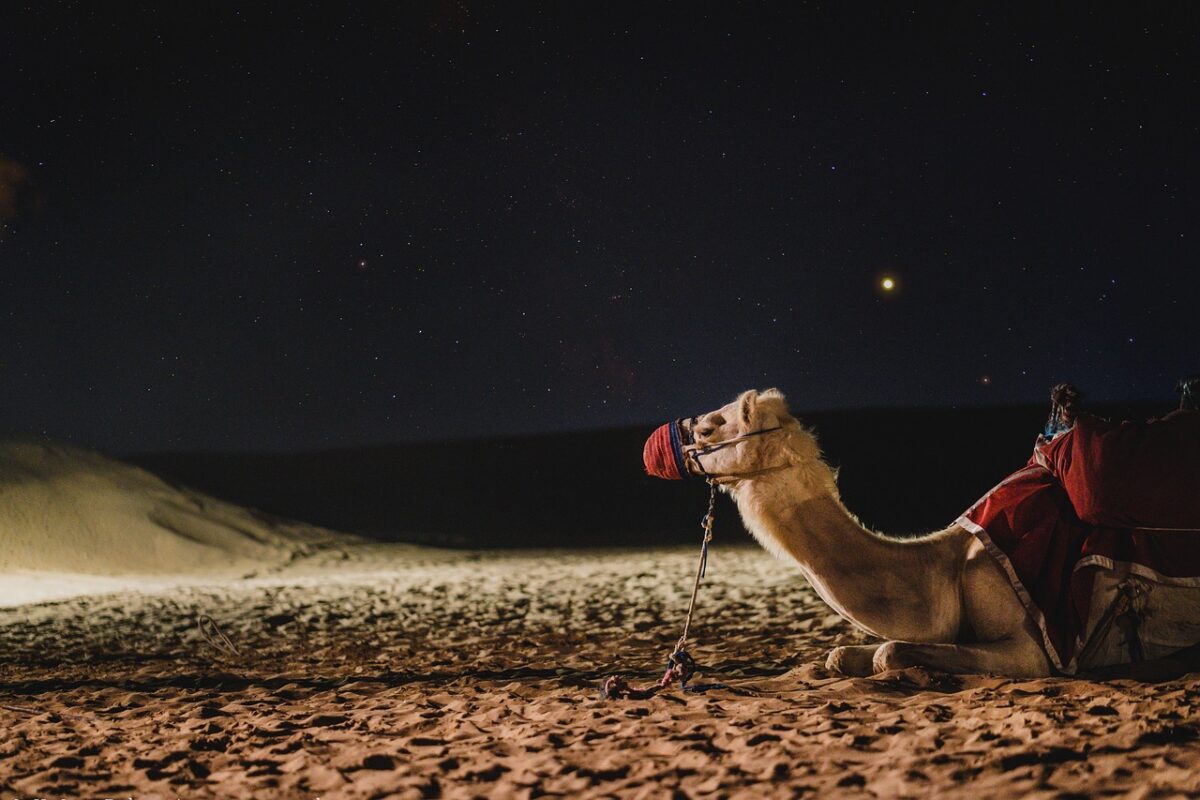 Dubai — United Arab Emirates