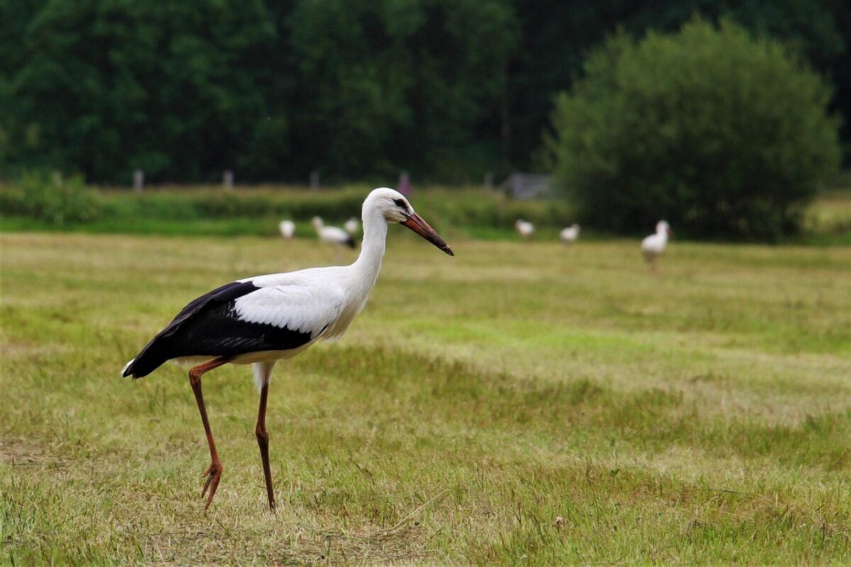 Eindhoven — Netherlands