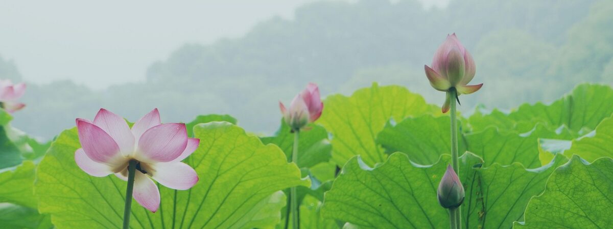 Hangzhou — China