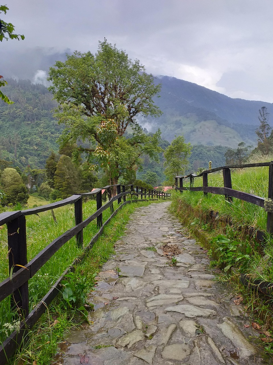 Ibagué — Colombia