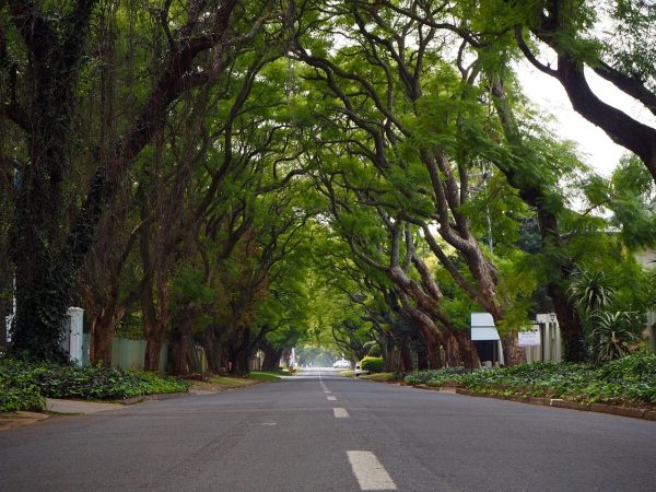 Johannesburg