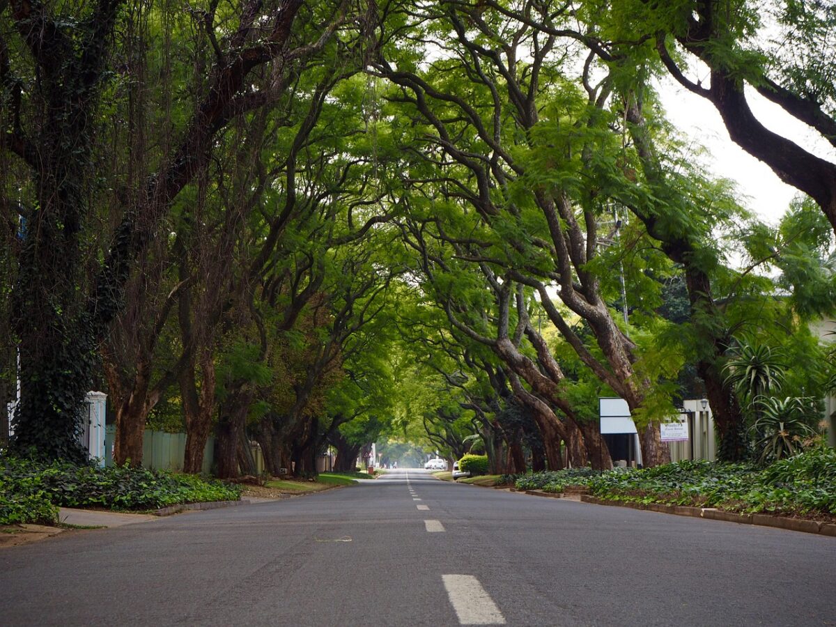 Johannesburg — South Africa