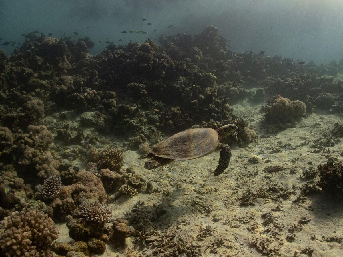 Yanbu — Saudi Arabia