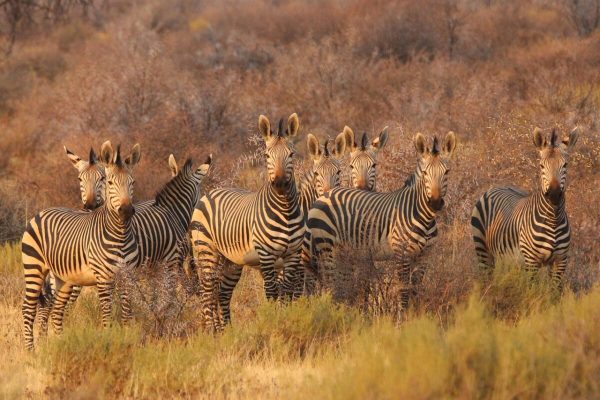 South Africa
